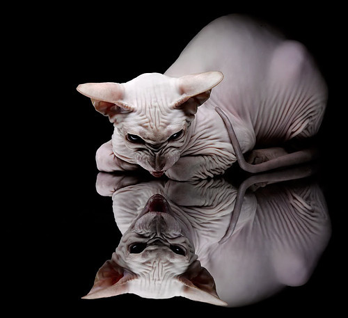 CBA夏季联赛开打 新人表现备受瞩目，cba有夏季联赛吗