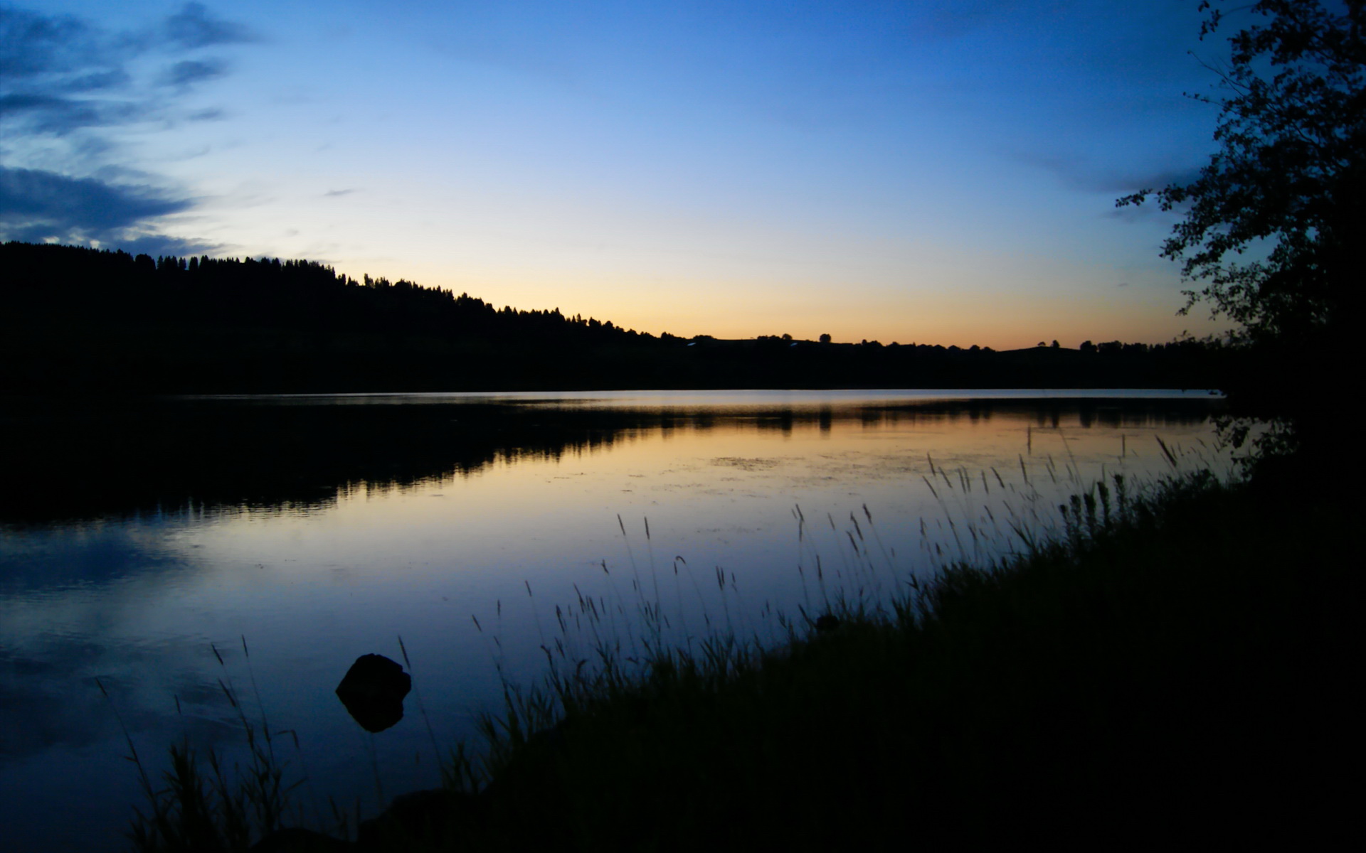 CBA球队文化建设引发球迷共鸣打造城市认同感新标杆,cba球队标识