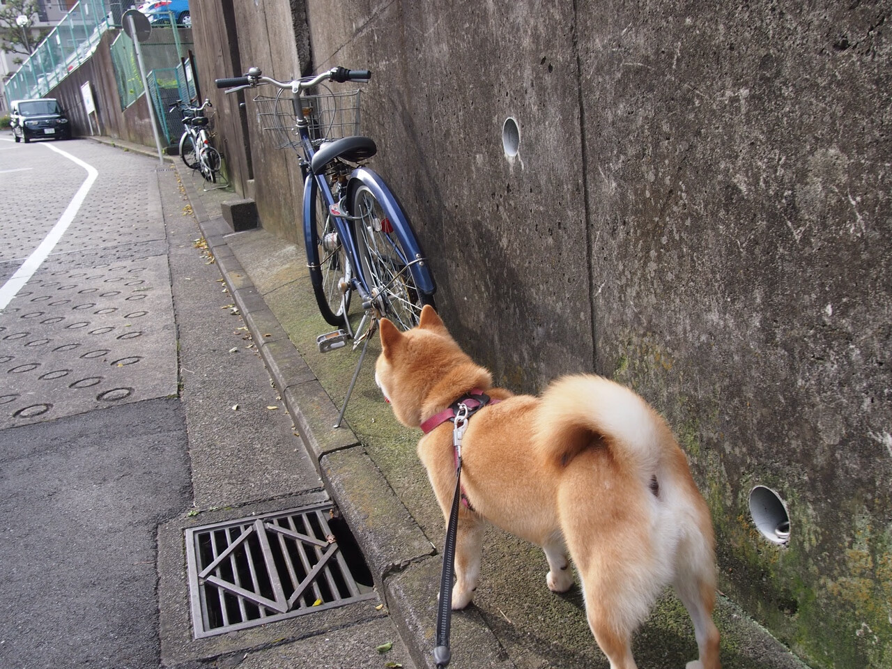 叶夫根尼娅·奇库诺娃化压力为动力,决赛逆转领先,叶夫根尼娅的书
