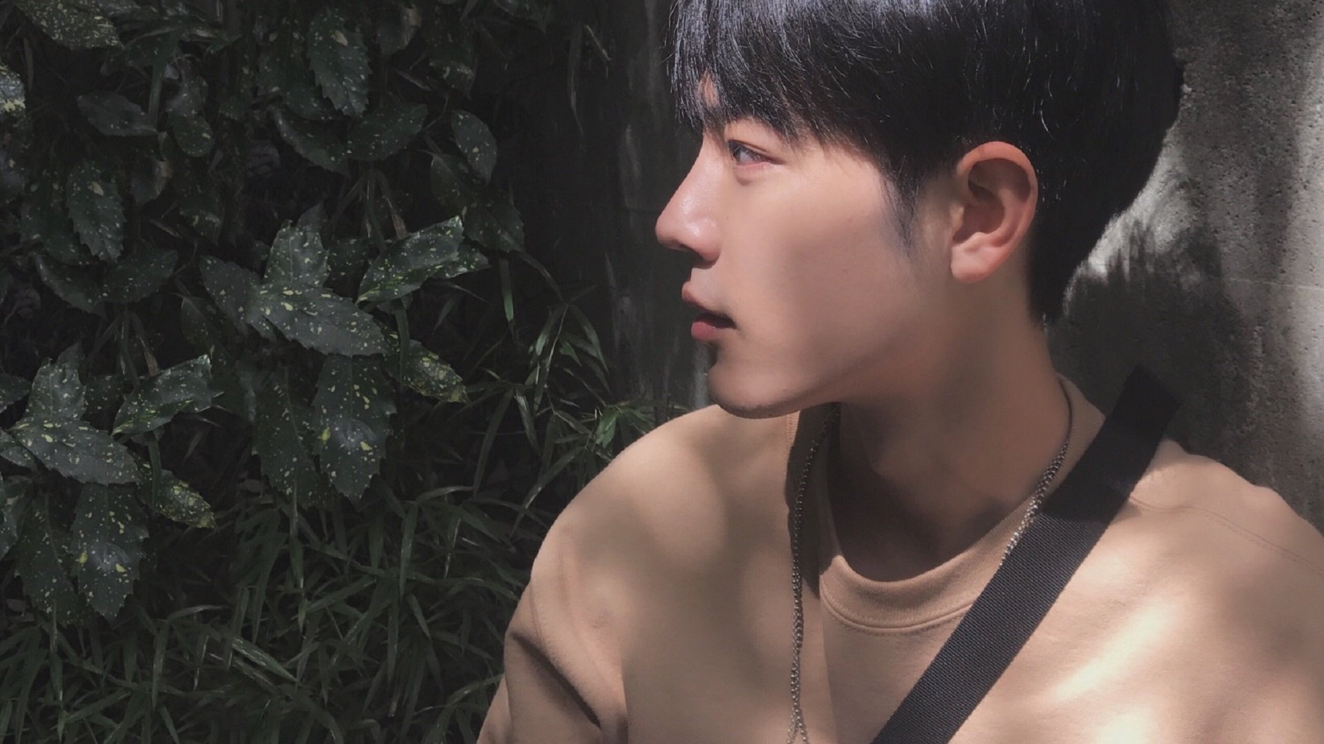 女子排球主力阵容调整优化战术组合，女子排球队员组成